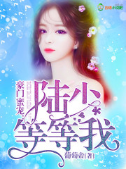 豪门蜜宠：陆少，等等我