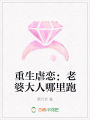 重生虐恋：老婆大人哪里跑