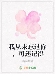 我从未忘过你，可还记得