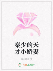 秦少的天才小娇妻