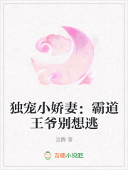 独宠小娇妻：霸道王爷别想逃