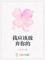 我应该放弃你的
