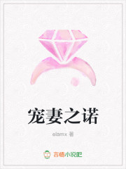宠妻之诺