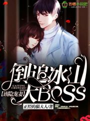 该隐宠妻——倒追冰山大boss