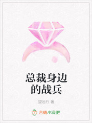 总裁身边的战兵