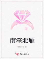 南笙北雁