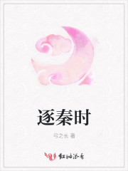 逐秦时