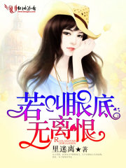 若叫眼底无离恨