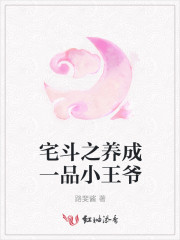 宅斗之养成一品小王爷