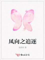 风向之追逐