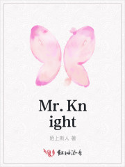 骑士的王子