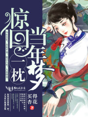惊回一枕当年梦