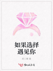 如果选择遇见你