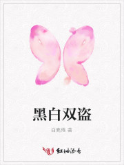 黑白双盗