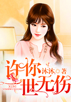 许你一世无伤