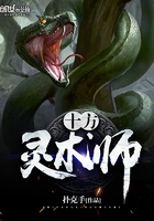 十方灵术师