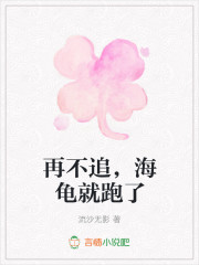 再不追，海龟就跑了
