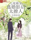七夜霸宠：逃婚影后太撩人