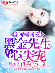 新婚暖暖爱，黑金先生的心尖宠