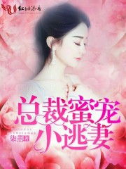 总裁蜜宠小逃妻