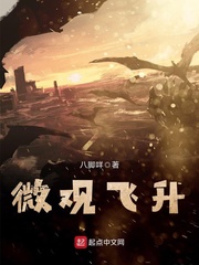微观飞升