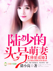 撩爱成婚：陆少的头号萌妻