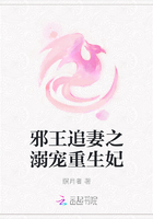 邪王追妻之溺宠重生妃