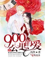 900公里的爱