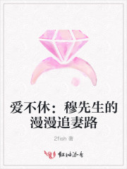 爱不休：穆先生的漫漫追妻路