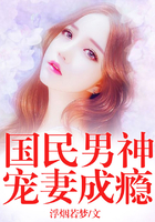 国民男神宠妻成瘾