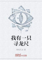 我有一只寻龙尺