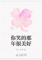 你笑的那年很美好