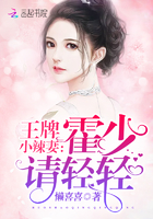 王牌小辣妻：霍少，请轻轻！
