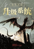 宠物无敌升级系统