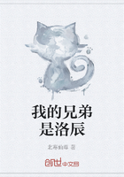 我的兄弟是洛辰