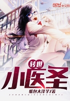 转世小医圣