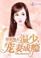 甜蜜爆击：温少，宠妻成瘾