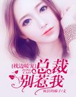 枕边暖宠：总裁别惹我