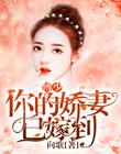 傅少，你的娇妻已嫁到