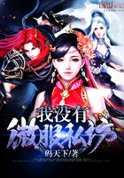 我没有微服私访