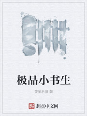 极品小书生