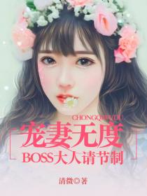 宠妻无度：BOSS大人请节制