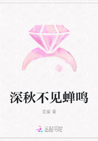 深秋不见蝉鸣