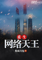 重生网络之神