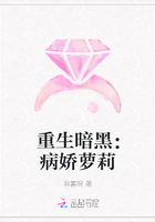 重生暗黑：病娇萝莉