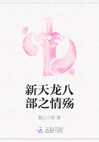 新天龙八部之情殇
