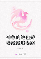 神尊的绝色娇妻漫漫追妻路