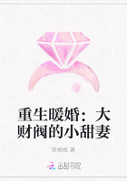 重生暖婚：大财阀的小甜妻