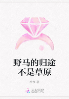 野马的归途不是草原