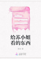 给苏小姐看的东西